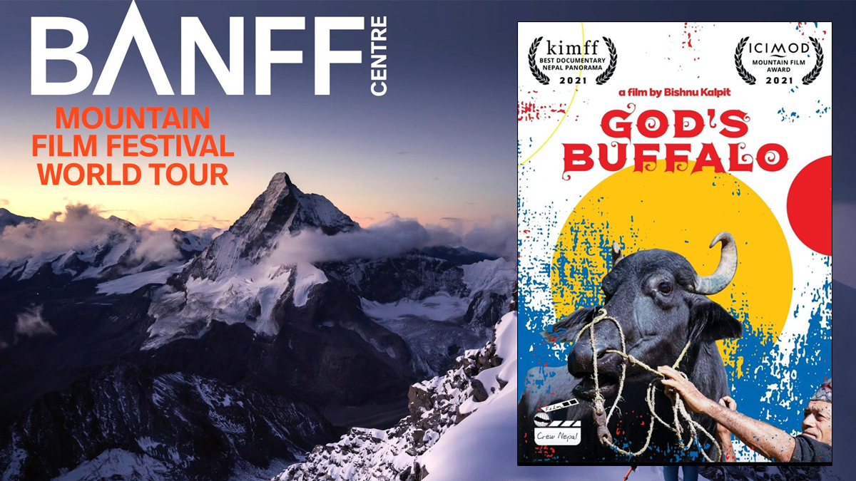 ‘गड्स बफेलो’ ले पायो ‘स्पेसल जुरी मेन्सन अवार्ड’